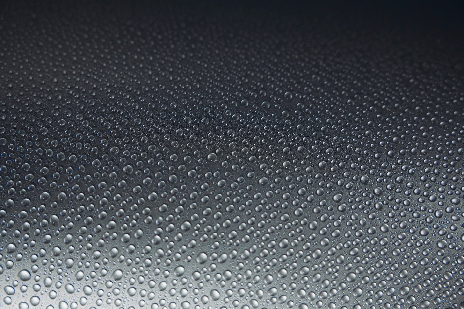 Comment choisir la bonne protection pour votre peinture : Cire, Céramique ou Film de Protection de Peinture (PPF) ?